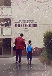 After the Storm (2016)
