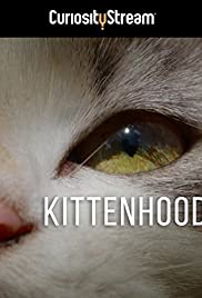 Kittenhood (2015)