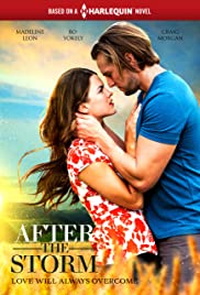 After the Storm (2019)