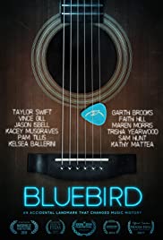 Bluebird (2019)